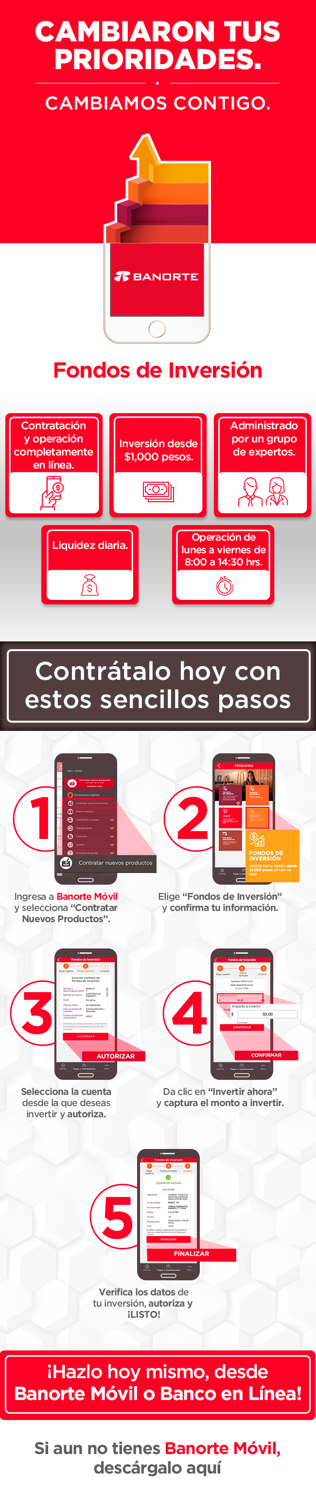 Infografía CVV Dinámico.