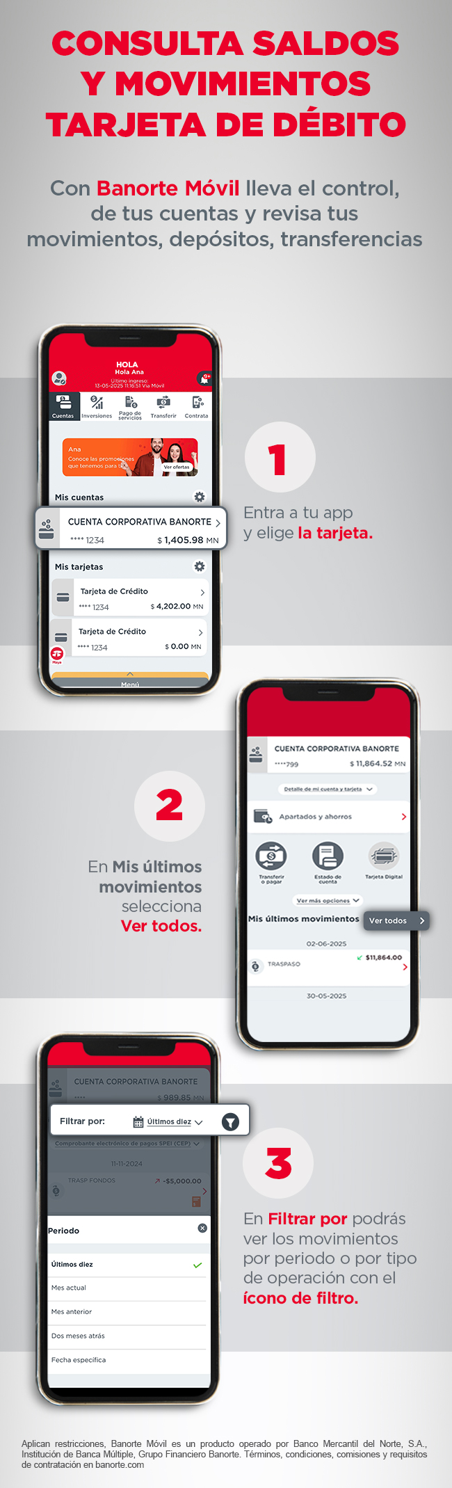 Consulta de datos débito