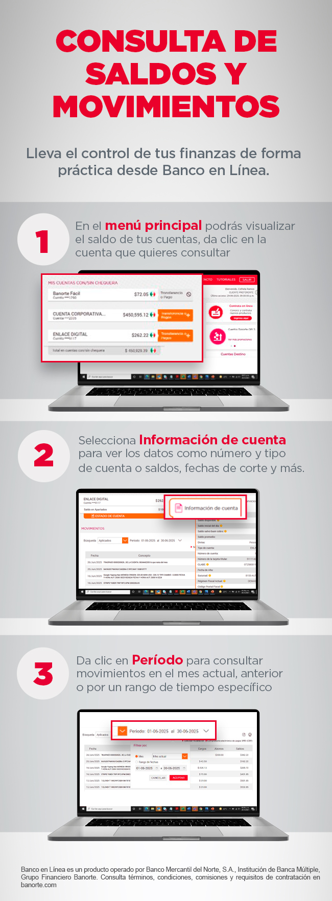 Instrucciones para consultar saldos y movimientos en Banco en Línea